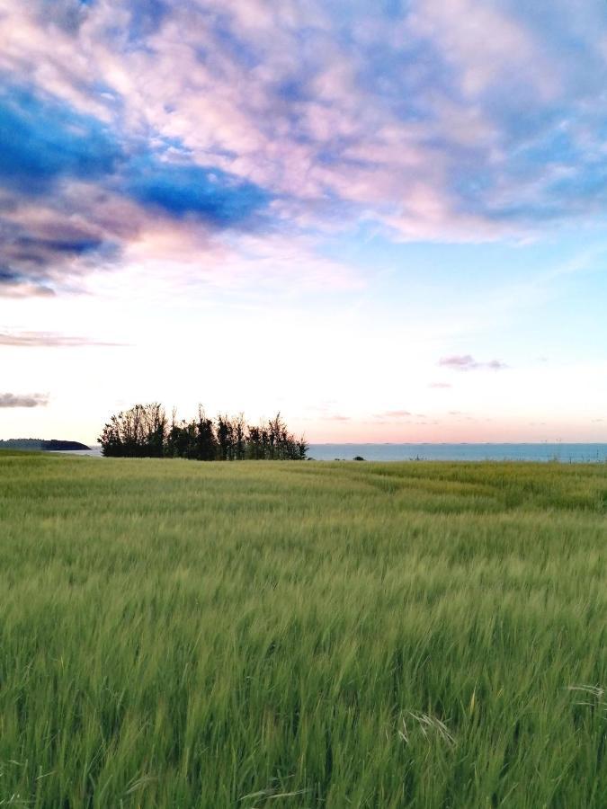 Le Ti'Nid - Gite De Charme - Vue Mer Langueux Exteriör bild
