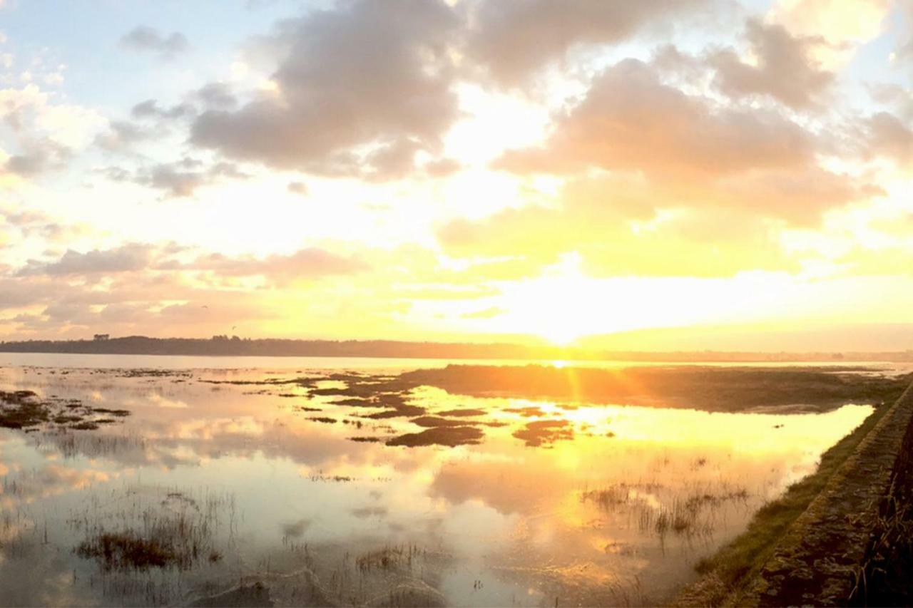 Le Ti'Nid - Gite De Charme - Vue Mer Langueux Exteriör bild